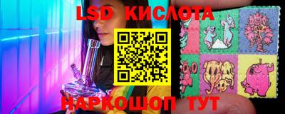 шишки Обь