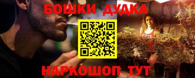 шишки Обь