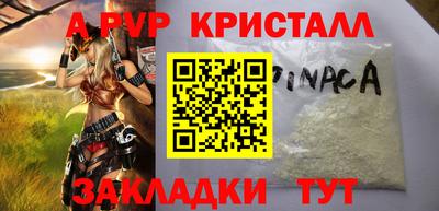 шишки Обь