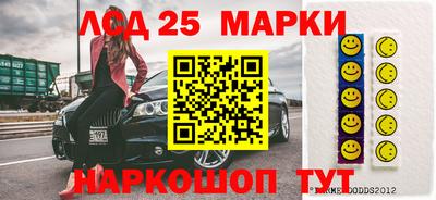шишки Обь