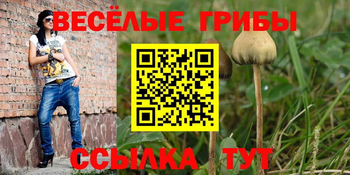 Азнакаево  Псилоцибиновые грибы MAGIC MUSHROOMS  Вход с VPN 