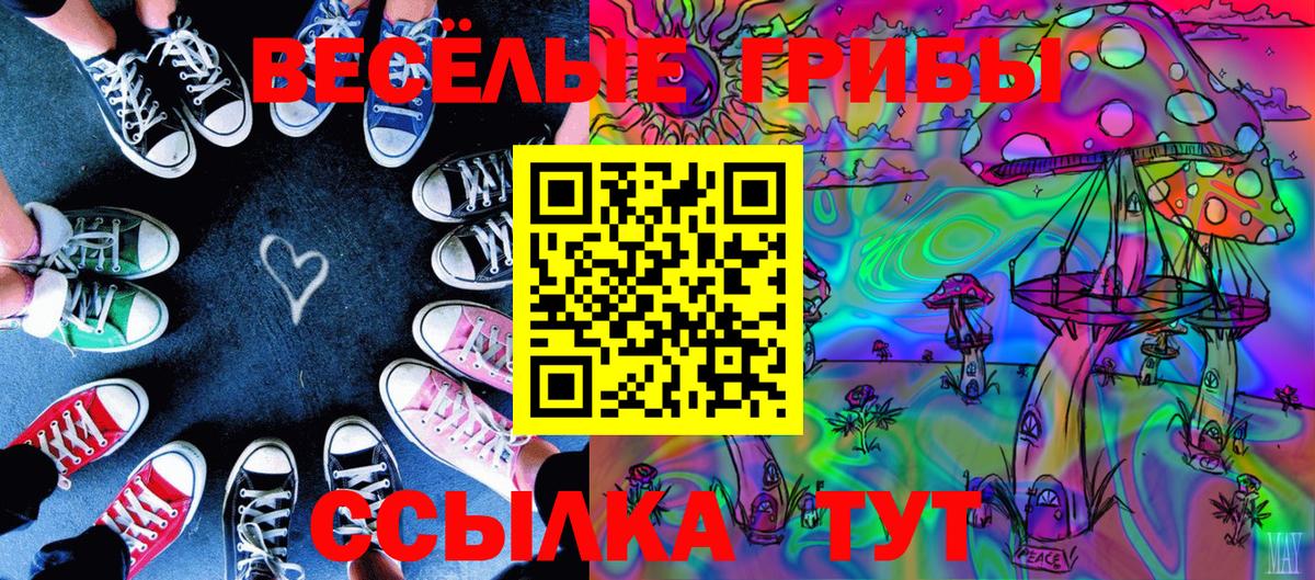 Псилоцибиновые грибы ЛСД Азнакаево